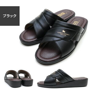 yzy{z|Nu POLO CLUB Y ItBXT_ amp wbvT_  E^\[ j  VbsO i  d x_ 