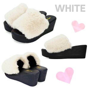 yzPOPOLARE ||[ ӂӂT_ t@[T_ ~[ {AT_ ItBXT_ EFbW\[ Xbp ؂  p y ₷ x