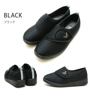 yzy炭 RtH[gzRakuchine comfort V[Y fB[X y  V[Y p  O 4e nrV[Y Xb| O җp C ̓ hV̓ hg-260