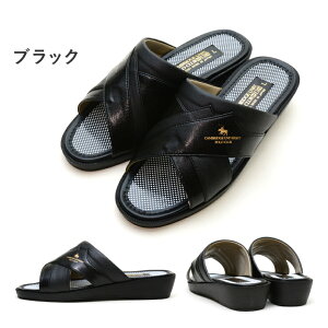 yM̓{IzyzCAMBRIDGE UNIV.POLO CLUB |Nu am YT_ EEE 3E L  OJ ֗ ɂ ₷ _炩 Y RtH[g ItBX  