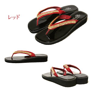 yzy{zHoney Bee T_ gOT_ r[`T_ fB[X  q[ ₷ LL XpR[ r[T ][g l 킢    r 