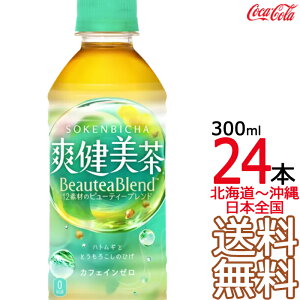 ykC牫܂ z u 300ml × 24{ i1P[Xj ngM   唞 ǂ RJER[ Coca Cola [J[ R[