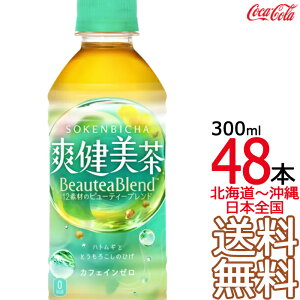 ykC牫܂ z u 300ml × 48{ i24{×2P[Xj ngM   唞 ǂ RJER[ Coca Cola [J[ R[