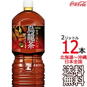 ykC牫܂ z  2L × 12{ i6{×2P[Xj G E[ t@ 2000ml RJER[ Coca Cola [J[ R[