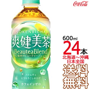 ykC牫܂ z u 600ml × 24{ i1P[Xj ngM   唞 ǂ RJER[ Coca Cola [J[ R[