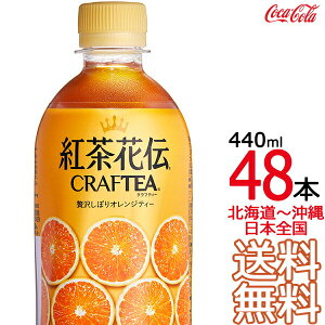 ykC牫܂ z gԓ` NteB[ ґ򂵂ڂIWeB[ 440ml × 48{ i24{×2P[Xj RJER[ Coca Cola [J[ R[