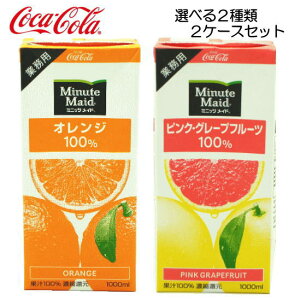 y kCBz Iׂ2P[X ~jbcCh IW 100% & sNO[vt[c 100 1L × 12{ i6{×2P[XjƖp 1000ml Zkʏ`Ҍ RJER[