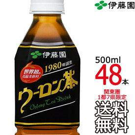 【送料無料】伊藤園 ウーロン茶 500ml × 48本 （24本×2ケース販売）烏龍茶 中国茶 Itoen　【沖縄県・各地離島への送料は実費課金】【同梱不可】