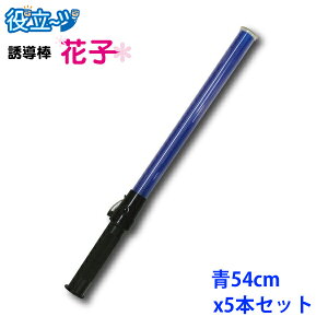 U U_ pg[ Spg[ uU_Ԏq 54cm^Cv iFLED)v2010003 5{Zbg