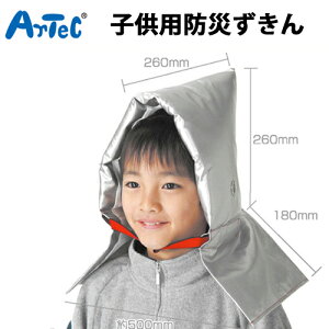 hЗpi ЊQ kЂɔ   qphЂ(003980)