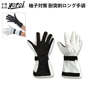 y Mq_lp ʎdl z ϓˎh^Cv hn Ɨp܁@hnO[u TNZXvjO uswyoroi GABA-SPV[Y@ϓˎh^Cv܁@O^Cv i䂸_ƌ