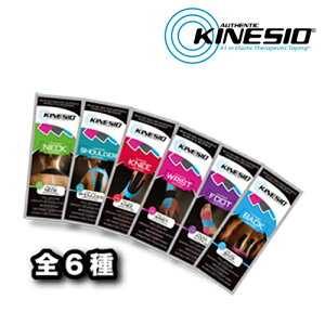 yKINESIO(LlVI)zLlVIe[sOʕʃJbgς݃e[sOuPRE-CUTvvJbgyLlVIebNX(KinesioTex)z