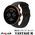 PolarVantageM���꿧�֥�å������åѡ���ǥ�M/L