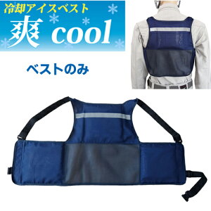 ~YPC ?c MǑ΍ ƒ pACXxXg ucool N[ Neo xXĝ 5501907