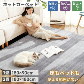 ホットカーペット 敷き毛布 ホットマット 電気毛布 1畳 2畳 炭素繊維ヒーター タイマー機能付 どこでもマット 電気マット フランネル 洗える 電磁波カット 自動オフ 省エネ ダニ退治 抗菌防臭 電気暖房 ダブル 送料無料