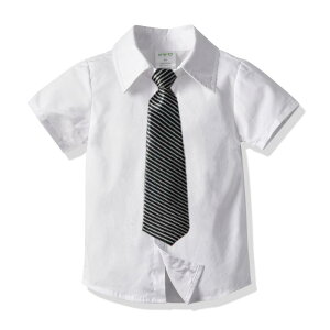 Vc LbY j̎q  Rbg ݕt t n _炩 Vc { lN^C ܂ lN^C tH[} JWA