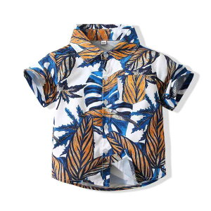 q Vc j̎q  vg ݕt ][gX^C |GXe t gbvX