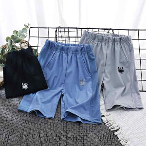 LbY pc ^ n[tpc X|[c ig ڐG⊴ bV 10mm q j̎q O[ fju[ ubN 110cm 120cm 130cm 140cm 150cm 160cm 170cm