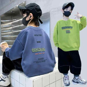 qpg[i[ j̎q tH TVc gbvX q t  JWA i  120 130 140 150 160 170 O[ lCr[