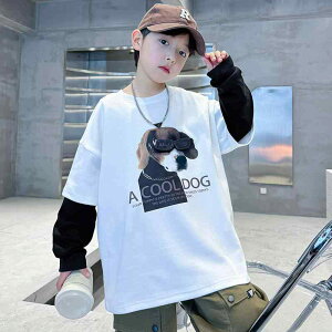 TVc LbY j̎q tH JWA gbvX q  100% vg  120cm 130cm 140cm 150cm 160cm 170cm 180cm