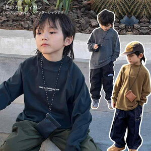 TVc LbY jp q  Rbg H~ tH gbvX ԊD n J[LO[