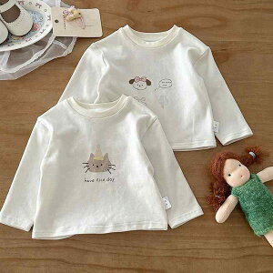 TVc LbY xr[  Jbg\[ 100% tH c q gbvX A 73CM 80cm 90cm 100cm 킢 L J[gD[