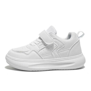 Xj[J[ LbY qC j̎q ̎q   mg[ U[Xj[J[ ʊw ig X|[c y t H~