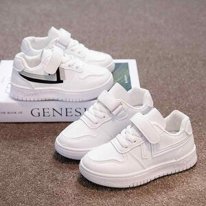 Xj[J[ LbY q  ʊw  ^C w ct ۈ牀 ~ _炩C ʋC bV t H~