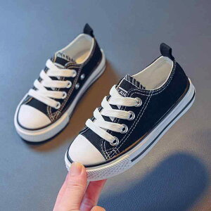 Xj[J[ LbY qC LoX [Jbg ^C ʊw xr[ ct ۈ牀 w j̎q ̎q    F sN  IW H~