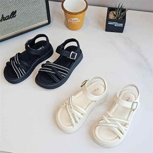 T_ LbY q vZXV[Y t@bV xN Xgbv c w w ؍ 킢  V[Y  