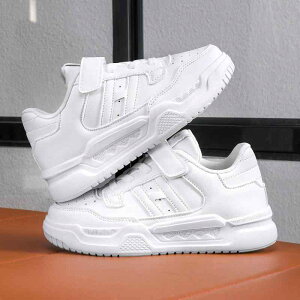 Xj[J[ LbY qC wZ ct ۈ牀 ʊw ^C    h ~ xN t H~