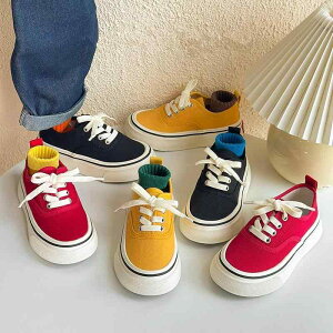 Xj[J[ LbY q LoX Xj[J[ tH jp ct ۈ牀 㗚 ʉ ʊw   F S