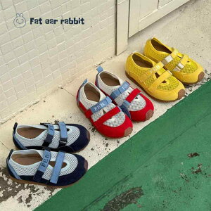 Xj[J[ LbY q ^C fbLV[Y ^ v _炩C ʋC ~ ig ԐF F F t H