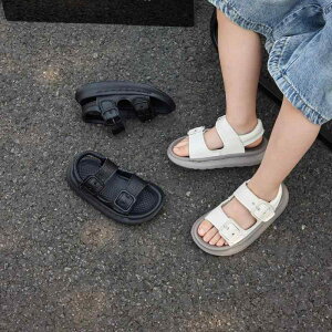 T_ LbY q j̎q ̎q {v U[ r[`T_ X|[cT_ xN  ubN x[W 16cm 17cm 18cm 19cm 20cm 21cm 22cm 23cm