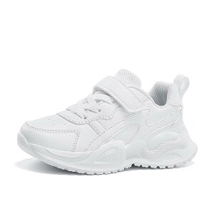 Xj[J[ LbY F ^C j̎q tH v y  ₷C w w 7 8 9 10 11 12 13 14 15 h oX h ϖ Ռz