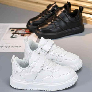 Xj[J[ LbY qC j̎q ̎q wC  ^C LoXn JWA   tH ~ ʊw ig