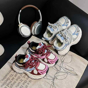 Xj[J[ LbY qC j̎q ̎q ^C y ~ t jOV[Y bV u[ bh