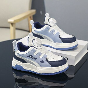 Xj[J[ LbYV[Y qC w j̎q ̎q ^C ʊw    tH~