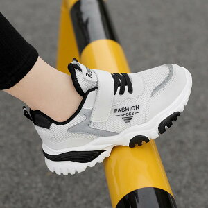 Xj[J[ LbY qC j̎q ̎q ^C ʊw y ʋC ~   sN t H bV