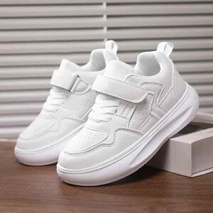 Xj[J[ LbY qC j̎q ̎q   ^C ʊw i lHv y ʋC tďH~