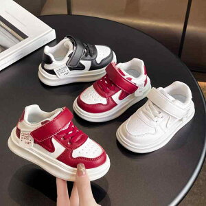 Xj[J[ LbY qC j̎q ^C tH w xN [Jbg ~ y JWA   