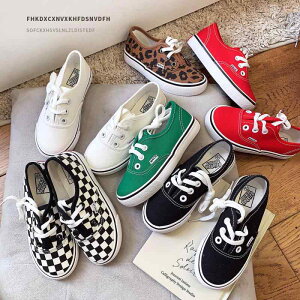 Xj[J[ LbY qC LoX Xj[J[ j̎q ̎q ʋC ~ c w t H   qE(x2)