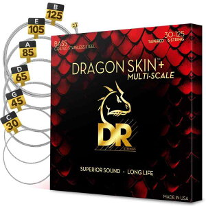 DR Strings (�f�[�A�[��) 6�� i-Scale �x�[�X�� �X�e�����X�������ɍ̗p DBSM6-30