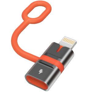 �y2026�V�Łz�^�C�vc �ϊ��A�_�v�^ lightming usb-c �ϊ��A�_�v�^ 36W �}���[�d �����f�[�^�]�� usb typec lightming �ϊ� �y�ʏ��^ �����h�~ iphone �^�C�vc �ϊ� iPhone 14 13 12 11 Pro Max, iPad Pro/Air 5/Mini 6�Ȃ�iOS