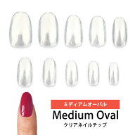 ネイルチップ クリア 【 ミディアム オーバル 】セット ばら売り 単品 選べる《 全サイズセット 600枚入…