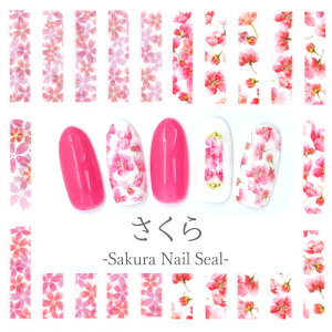 ɔlCV[  SAKURA V[YyHANYI-396.397z y[։zlCXebJ[  TN  V[Nbg XNGA sN bh   t[V[