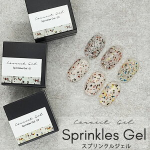 XvN WF WFlC RlNgWF 1y 3F z}CJt[N t[N }CJ _  VRf }CJpE_[ Xg[WF e][ e][WF  _V