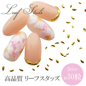 i [t X^bY ^X^bYySTCY/MTCYzS[h Vo[ 50y[։zlC X^bY