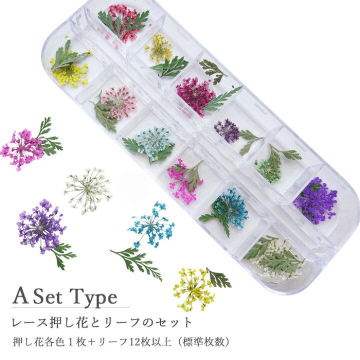 楽天市場 選べる2タイプ リーフ入り ドライフラワー セット 押し花 ケース入り レースフラワー ネイル ハンドメイド アクセサリーに 封入素材 押し花セット メール便可 レースフラワー Arknail 楽天市場 選べる2タイプ リーフ入り ドライフラワー セット 押し花 ケース入り レースフラワー ネイル ハンドメイド アクセサリーに 封入素材 押し花セット メール便可 レースフラワー Arknail