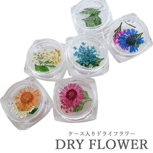 Iׂ P[X hCt[ 3`4@ lC f ԃZbg ANZT[ p[cy[։z[Xt[